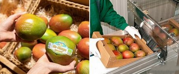 奧地利Spar推出激光打標芒果新品牌 奧地利Spar推出激光打標芒果新品牌