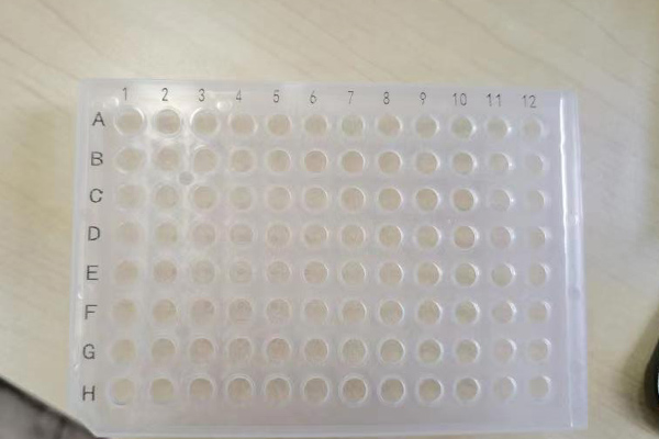 PCR激光鐳雕設(shè)備—PCR板激光打標(biāo)機 PCR激光鐳雕設(shè)備—PCR板激光打標(biāo)機